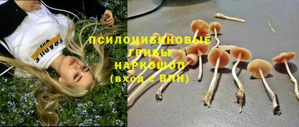кокс Корсаков